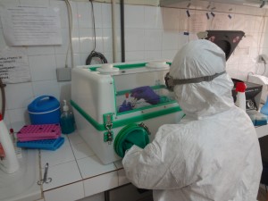 13616 Institut Pasteur Main Proposal glove box